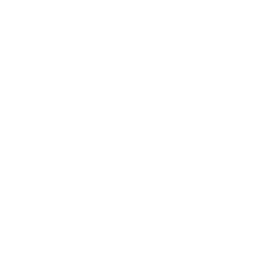 FTC Defense Lawyer Logo, Richard B. Newman